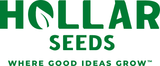 Hollar Seeds