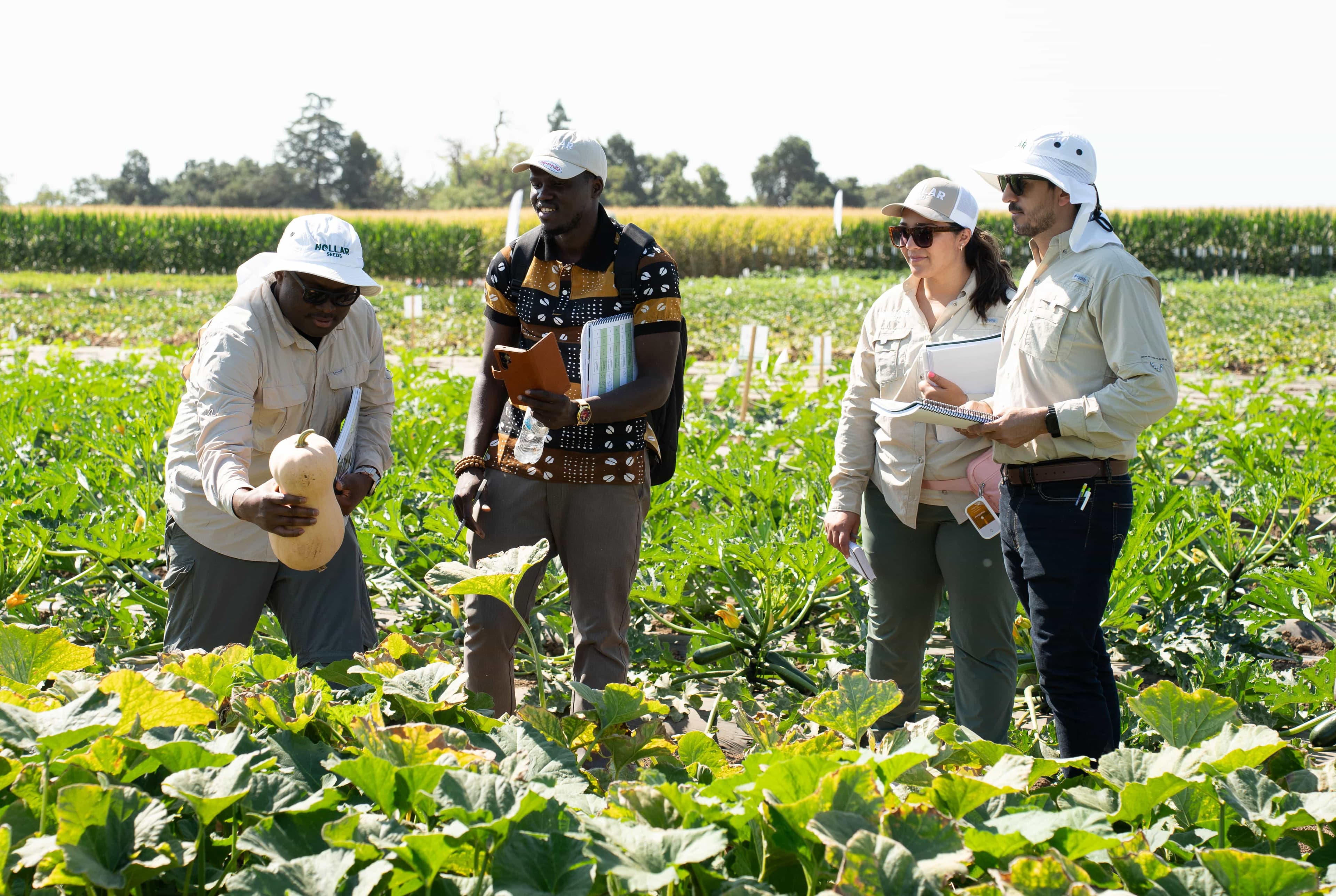 Hollar Seeds Field Day at Seed Week 2025