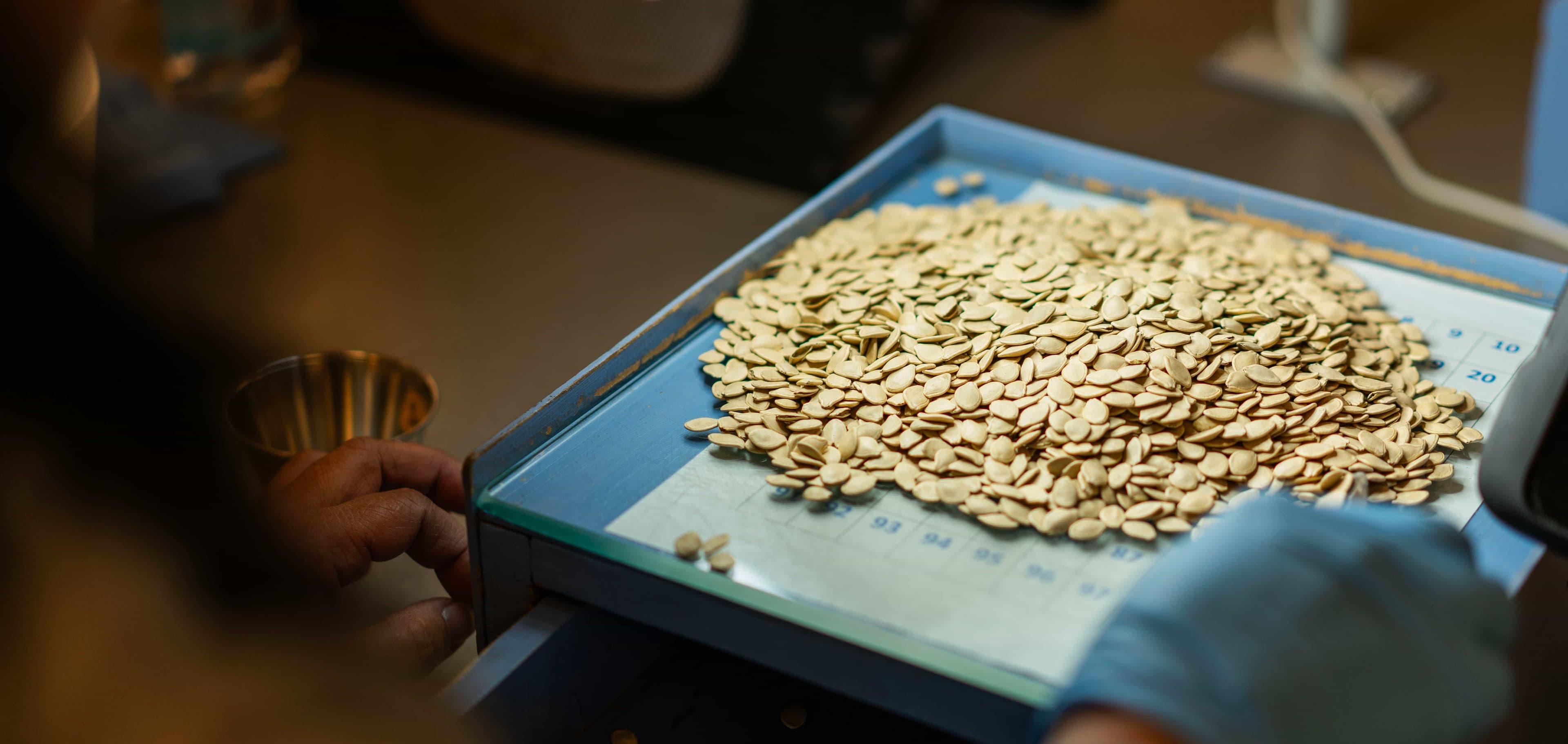 Hollar Seeds delivers leading innovations in seed and tailored packaging to help seed companies grow their business.