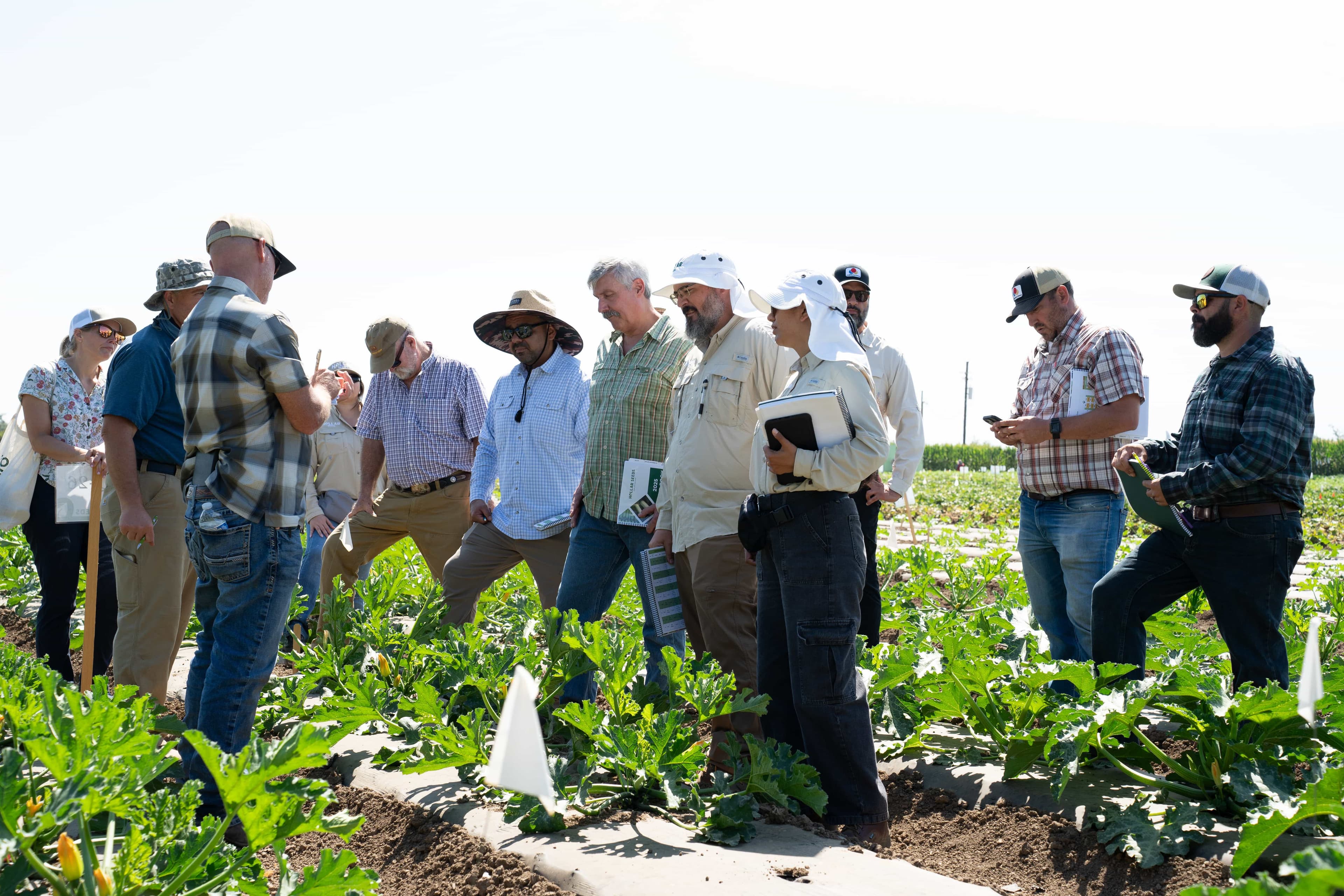 Hollar Seeds Field Day at Seed Week 2025