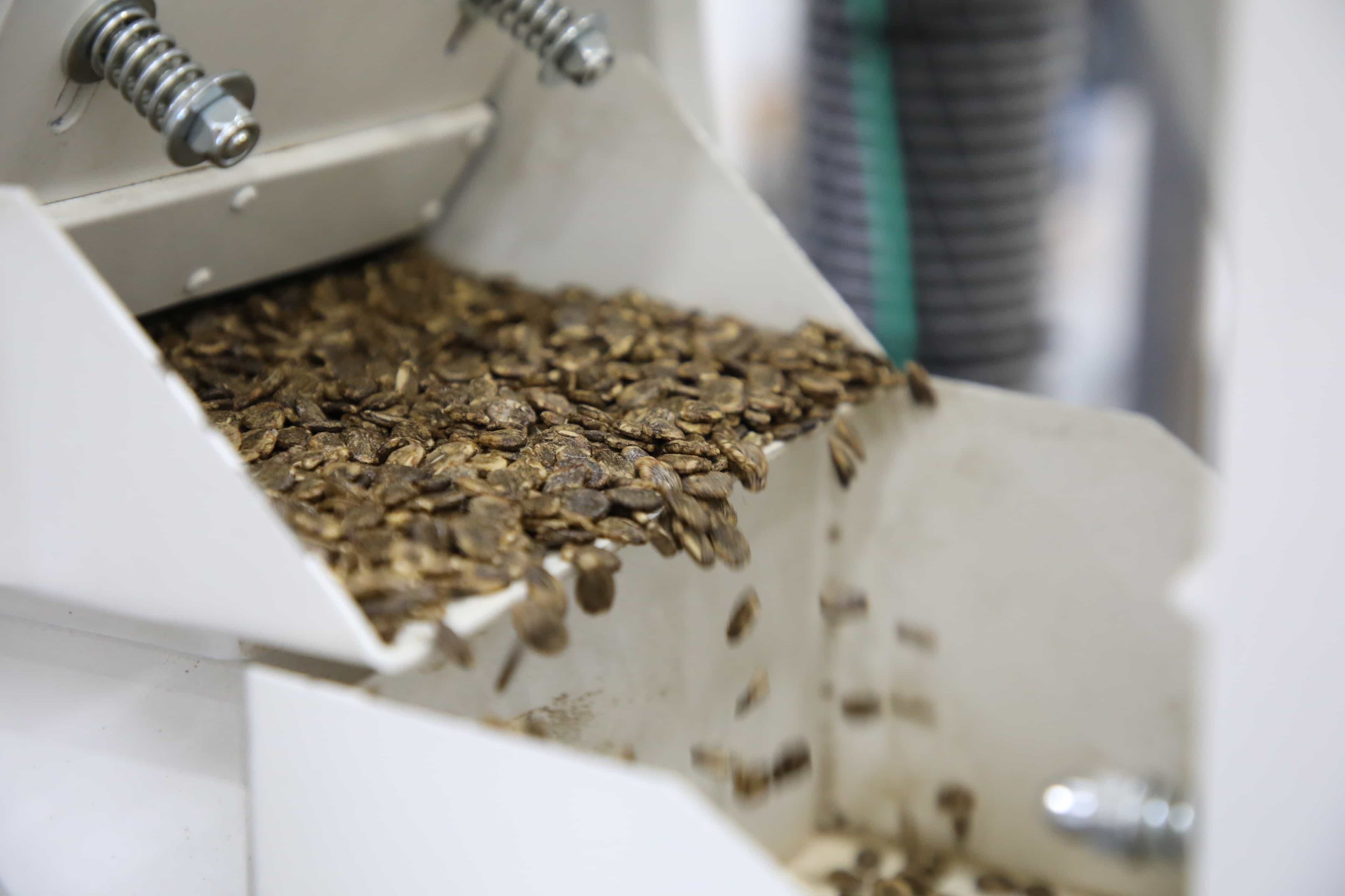 Portfolio Diversity hero