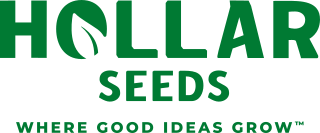 Hollar Seeds